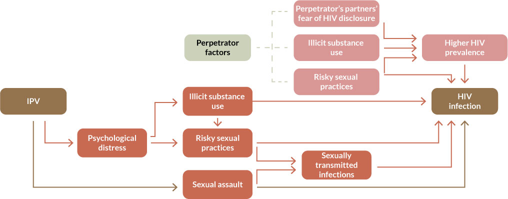 A diagram depicting linkages between IPV and HIV. An alternate description of this diagram is provided in the Endgame conference report.