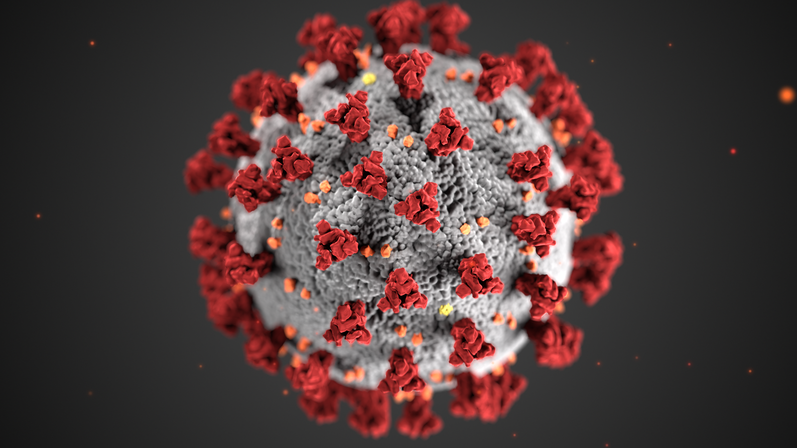 3D image of the COVID-19 virus
