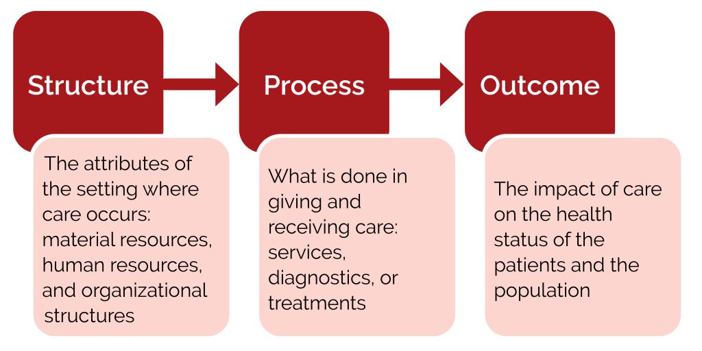 A flow diagram of structure, process, and outcome