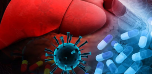 A liver, pills, and a close-up of the HCV virus